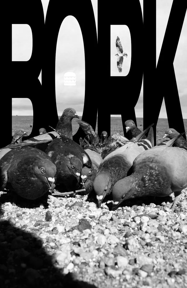 Pigeons eating some seed with the word BORK behind them. There is an eagle flying in the negative space of the R.