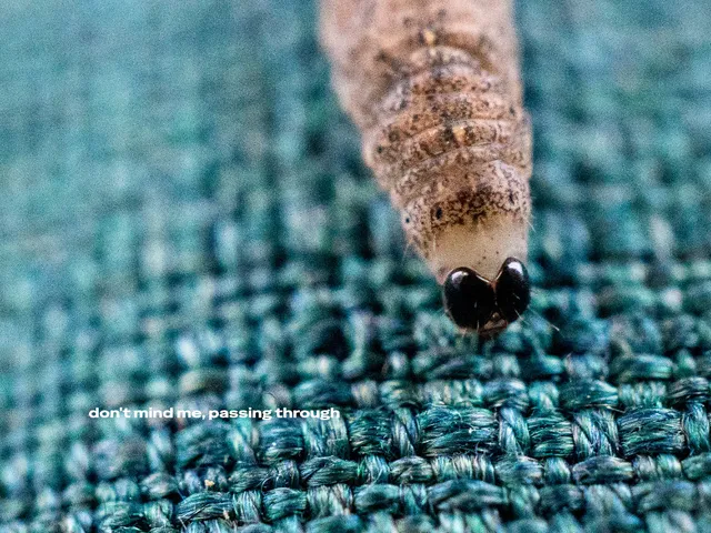 A macro photograph of a caterpillar with a mottled tan body and two glossy black head capsules, crawling across coarse teal woven fabric. Small white text reads "don't mind me, passing through."