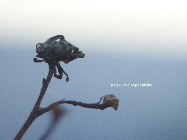 A soft-focus photograph of a dried, blackened flower head on a bare stem against a pale grey-blue sky, with a second withered bud on a lower branch. Small white text reads "a new kind of possibility."